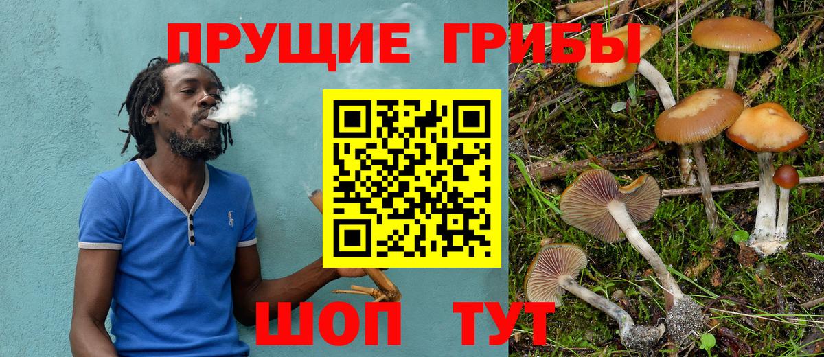 Кизилюрт  Псилоцибиновые грибы мухоморы  Вход с VPN  Псилоцибиновые грибы мицелий 