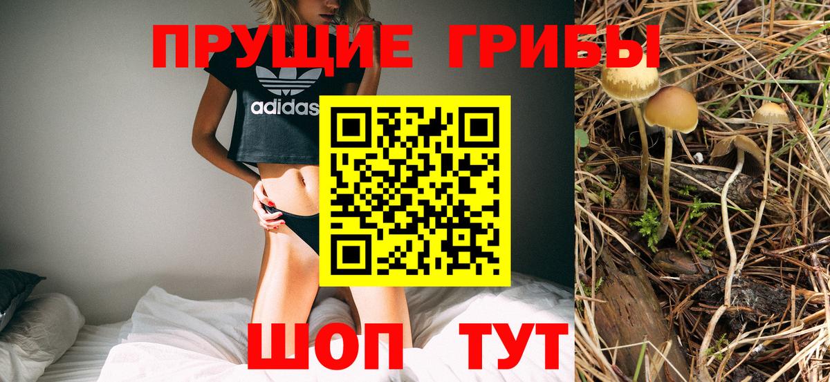 Псилоцибиновые грибы Psilocybine cubensis Кизилюрт