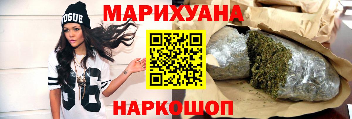 Каннабис сатива Кизилюрт